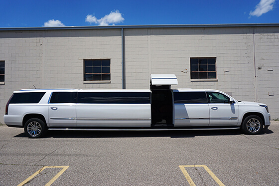 limo buses